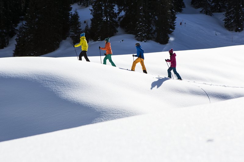 Winterpauschale-Hotel-Auhof-Schruns Winterpauschale-Hotel-Auhof-Schruns